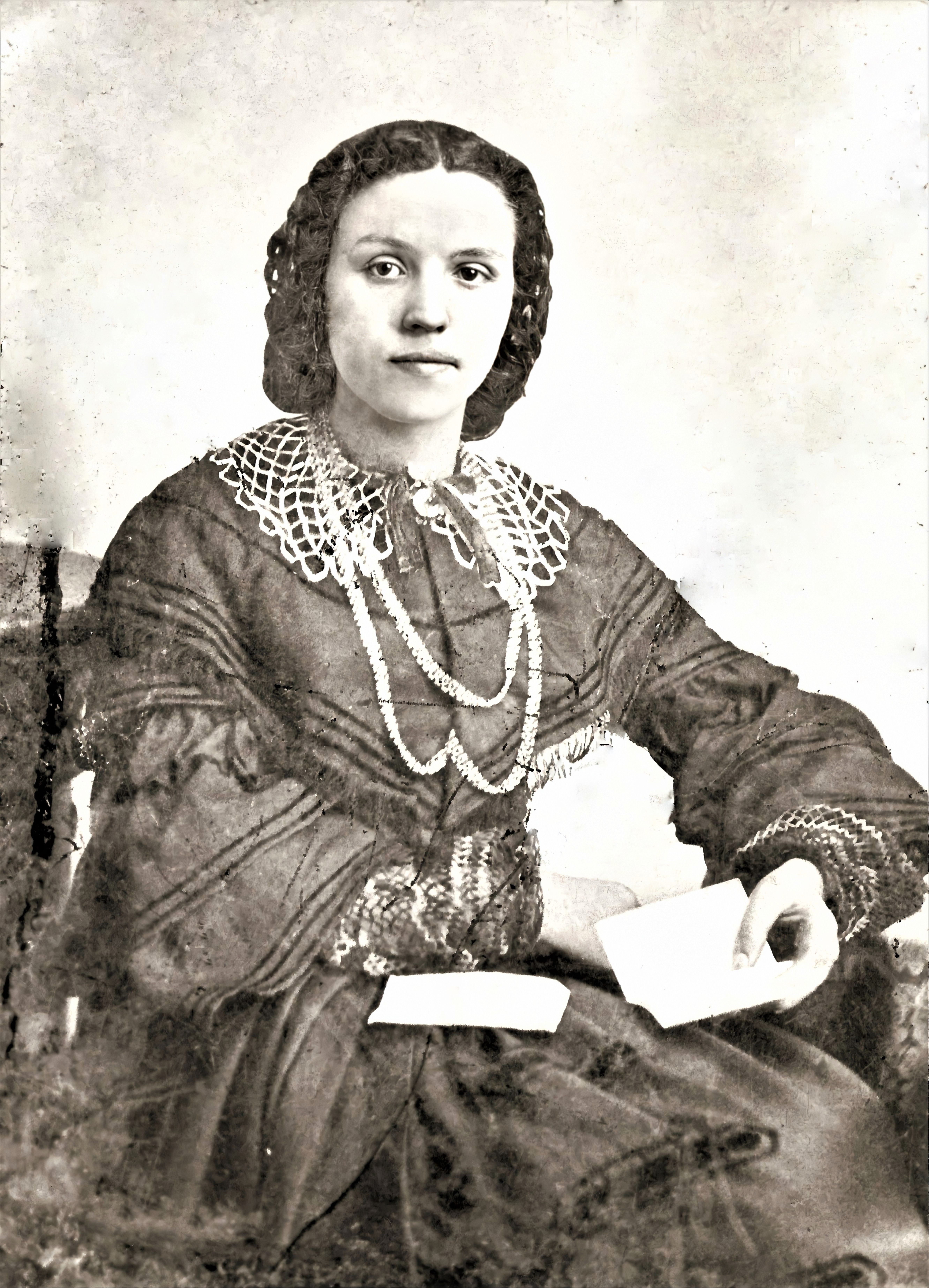 Alice Stokes (1838 - 1900) Profile